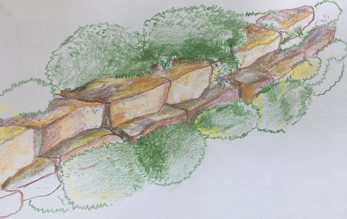 Native ecological landscape project by Ecology Landscape Design in the Twin Cities