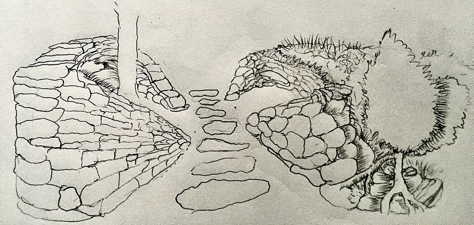 Native ecological landscape project by Ecology Landscape Design in the Twin Cities