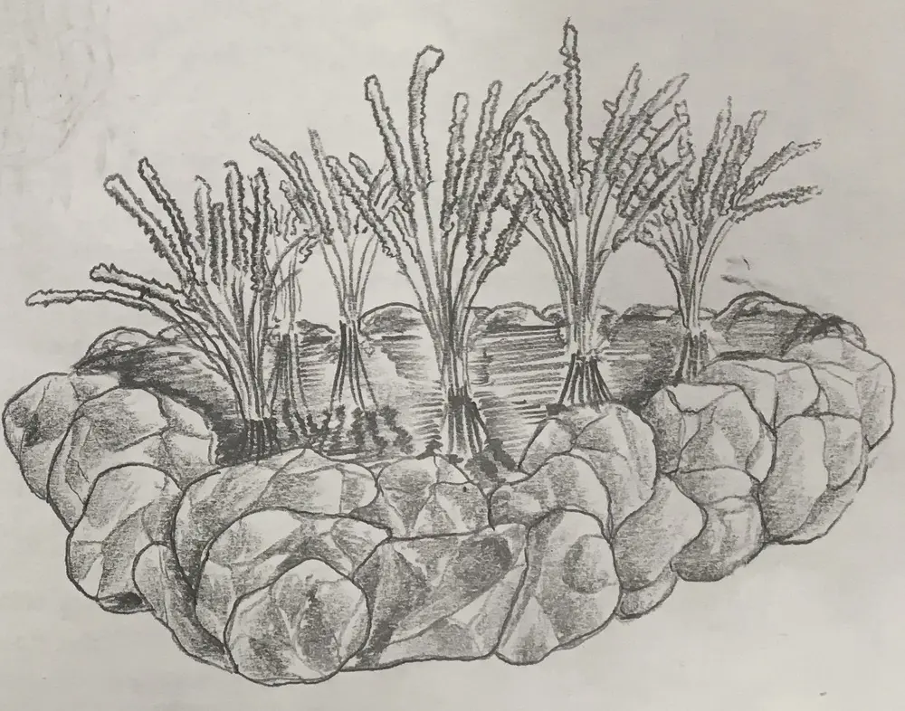 Native ecological landscape project by Ecology Landscape Design in the Twin Cities