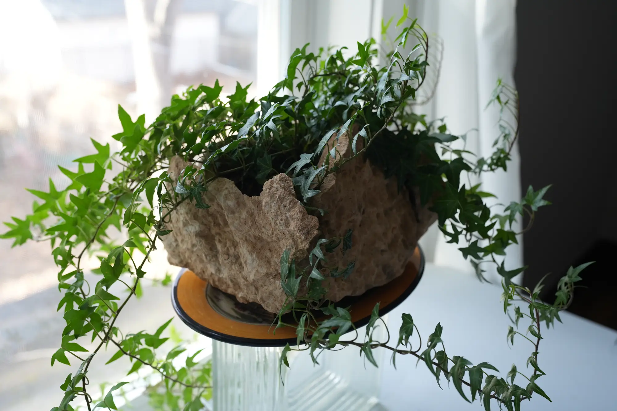 Sustainable landscape design project in Minnesota by Ecology Landscape Design