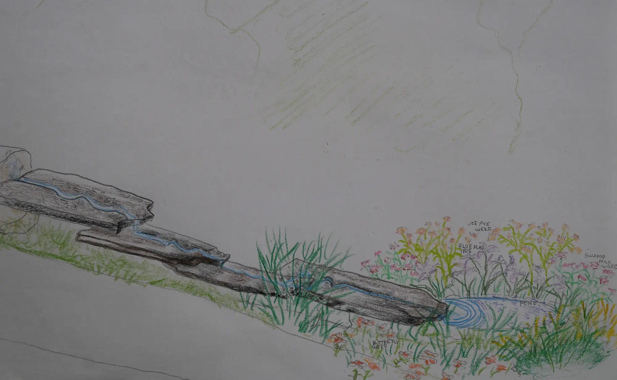 Native habitat restoration by Ecology Landscape Design