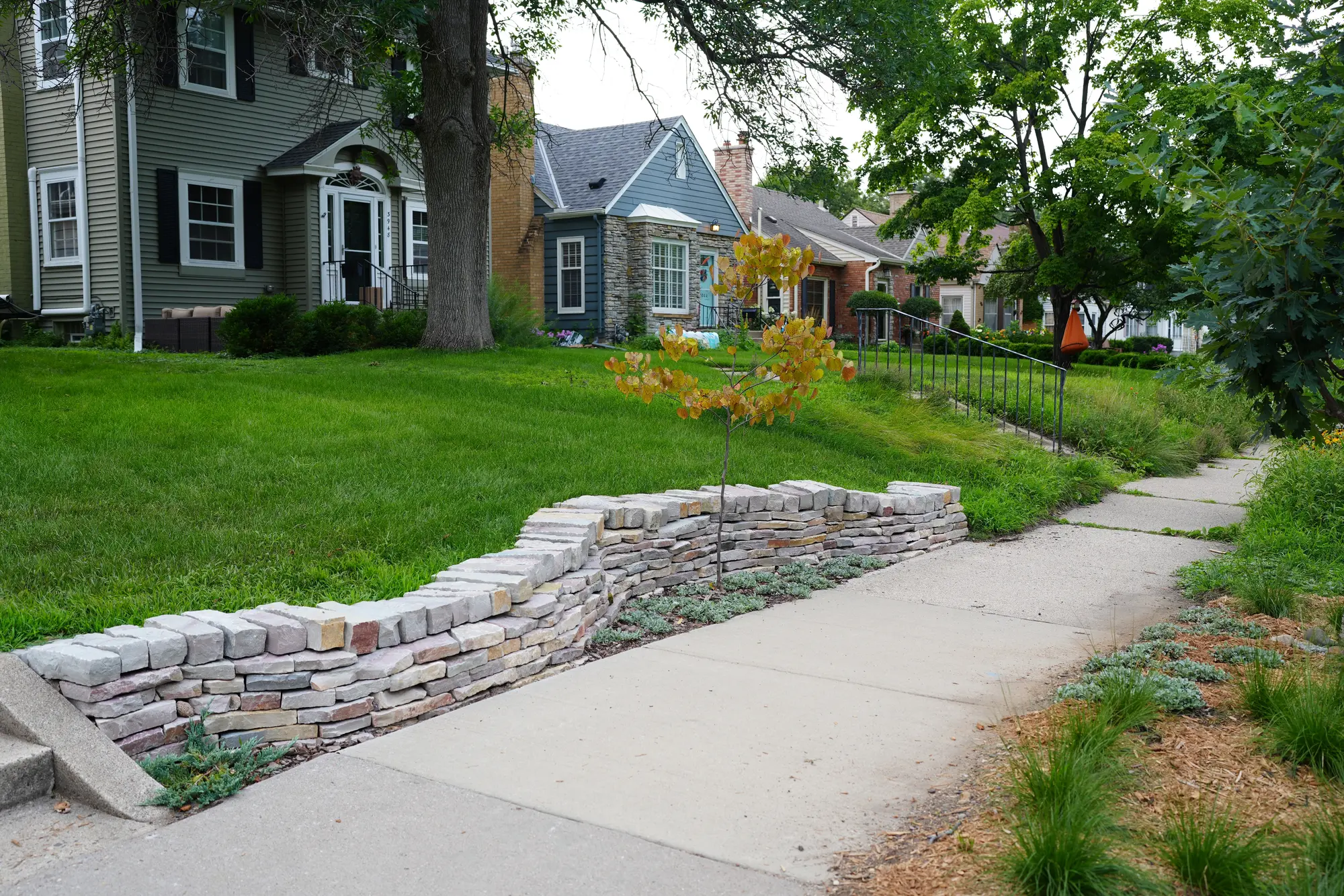 Native plant installation by Ecology Landscape Design