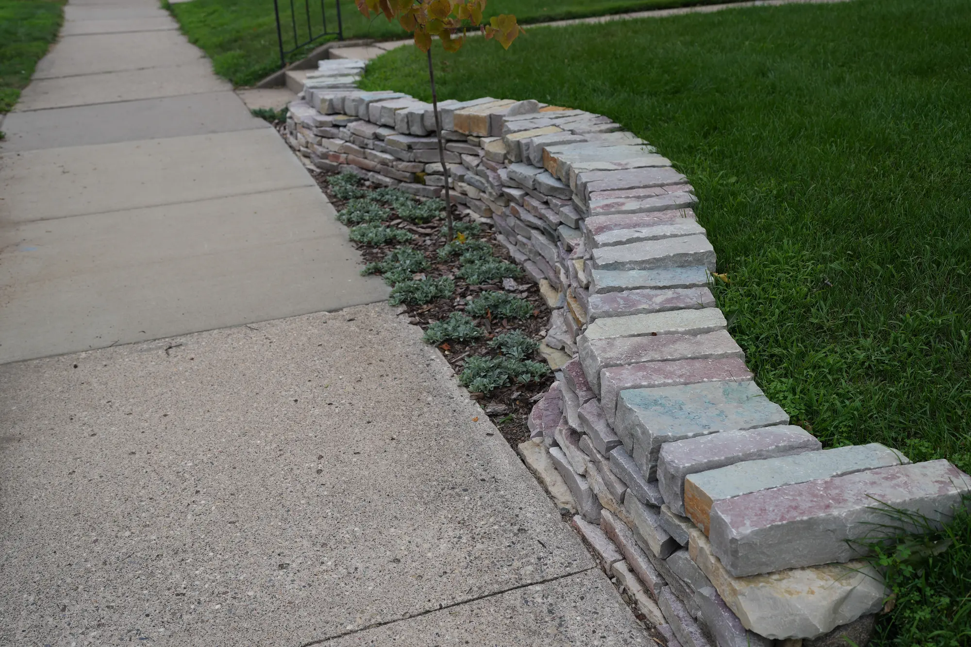 Ecological landscape project in the Twin Cities