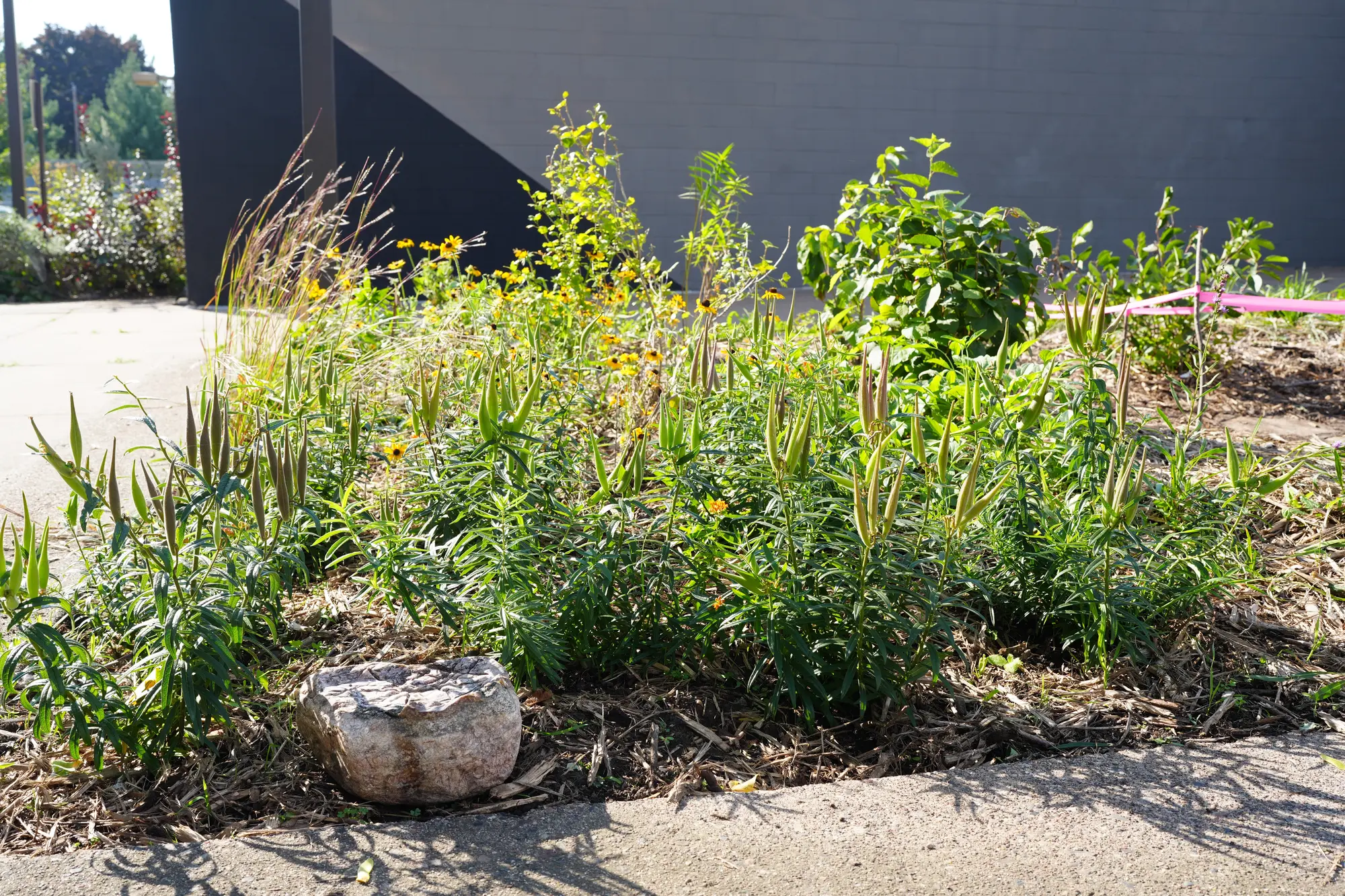Ecological landscape with native plantings by Ecology Landscape Design