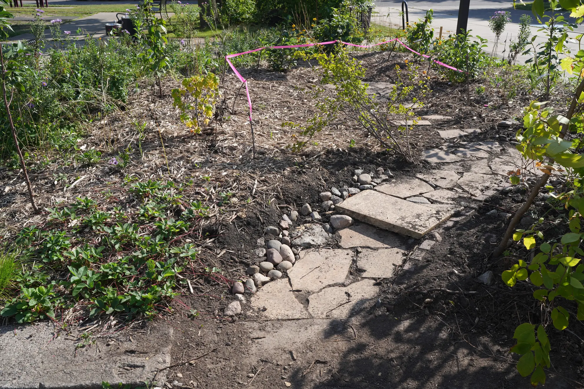 Sustainable garden project by Ecology Landscape Design in Minneapolis