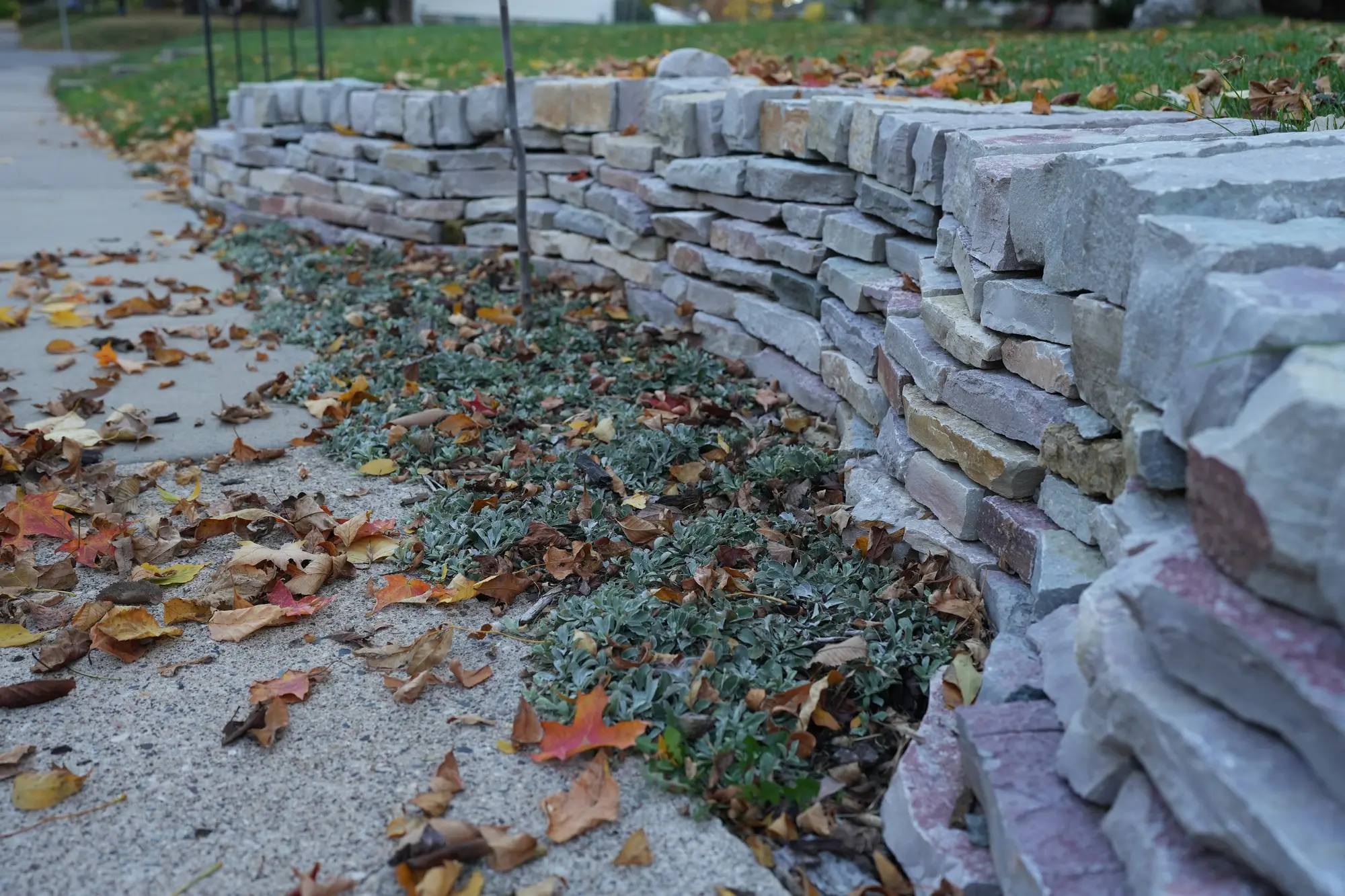 Sustainable landscape installation by Ecology Landscape Design