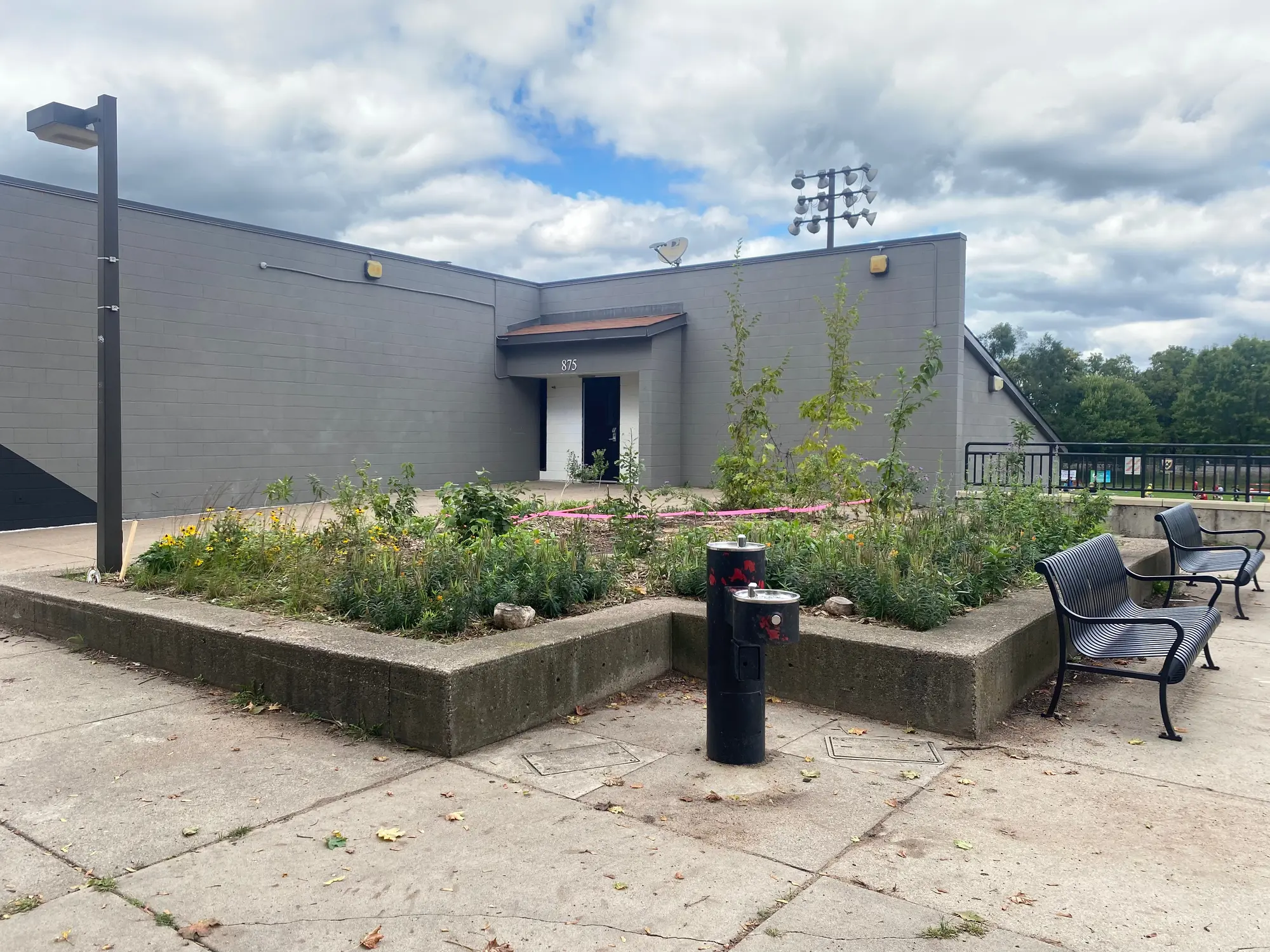 Native plant garden in the Twin Cities by Ecology Landscape Design