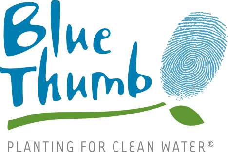 Bluethumb logo