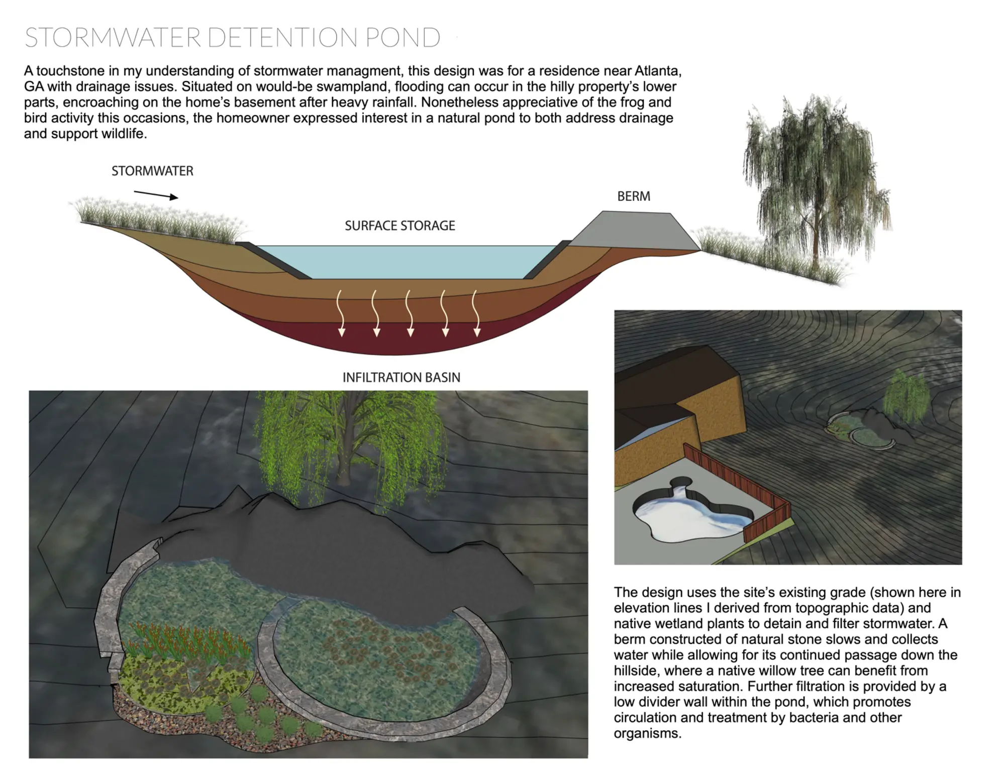 Stormwater detention rain garden by Ecology Landscape Design